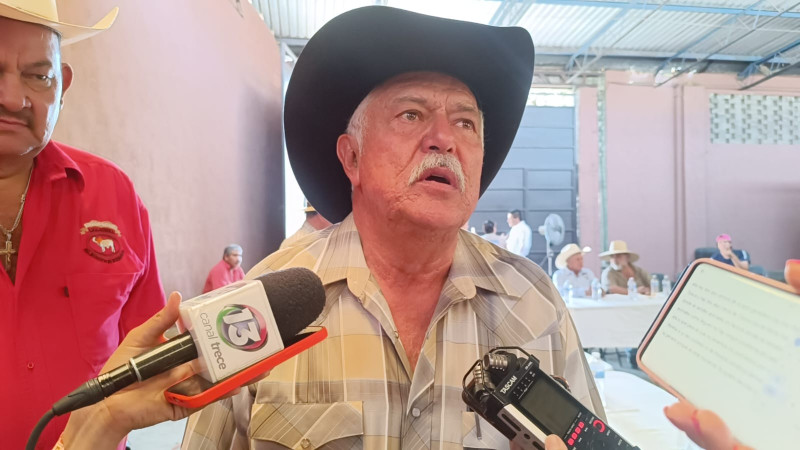 Del 100 por ciento de carne que se vende en Morelia , 80 por ciento es clandestina   : presidente de la Asociación de Ganaderos 