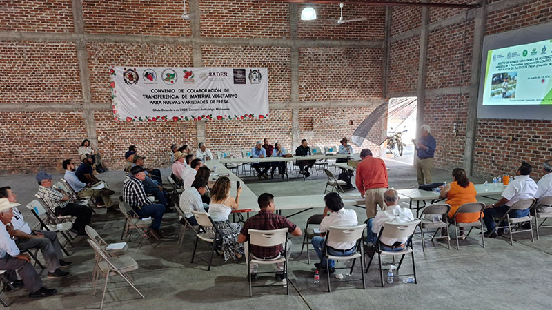 Presentan caso de éxito de control de enfermedad que afecta a la fresa en Zamora, Michoacán