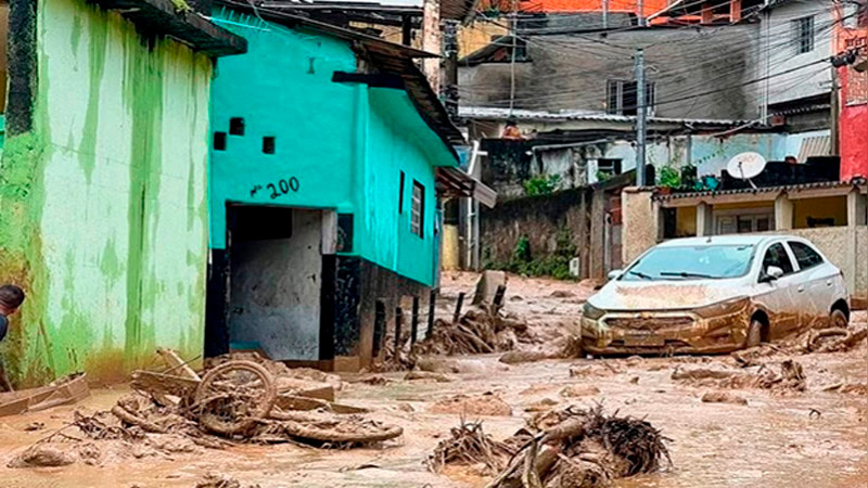 Por inundaciones aparecen pirañas en calles de Porto Alegre, Brasil 