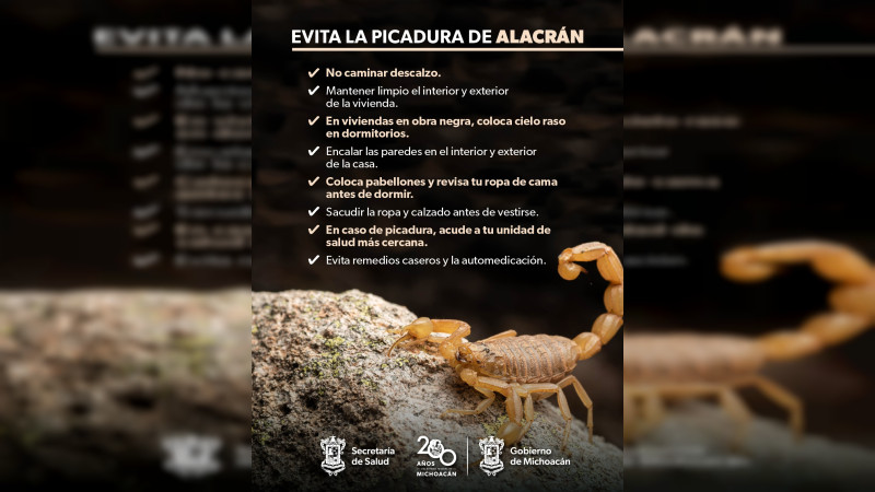 Exhorta Sector Salud extremar acciones para prevenir picaduras de alacrán 