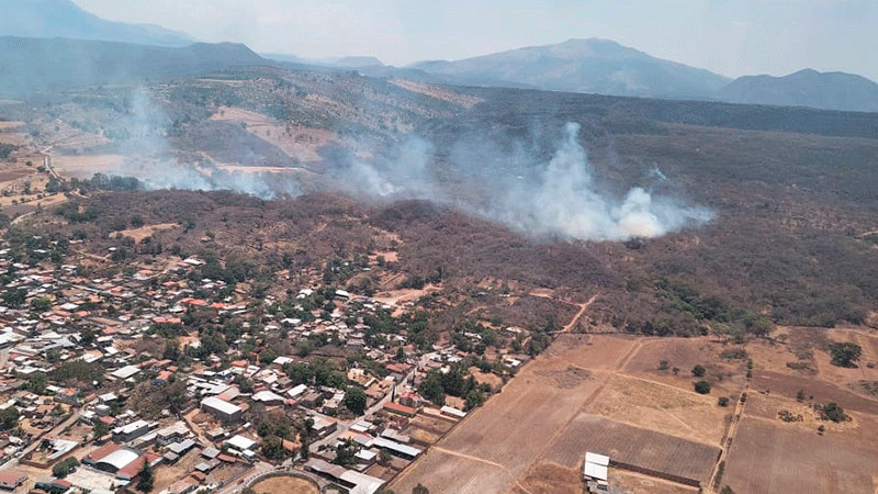 Helicóptero sobrevuela incendio forestal en Jiménez; continúa atención por tierra
