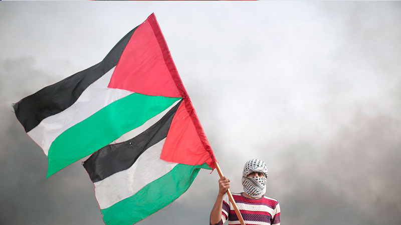 Profesores del Colmex piden a gobierno de México suspender transacciones con Israel 