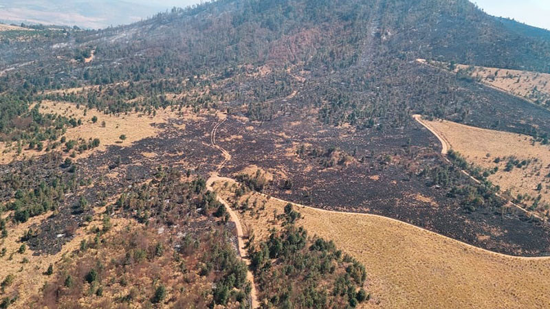 Sobrevuelan incendio forestal en Purépero y Zacapu; brigadas atienden por tierra 