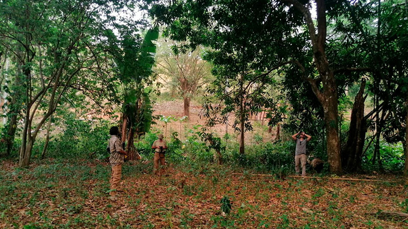 Mortandad de primates no se resuelve vía remota: AZCARM 