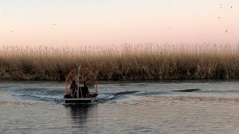 Encuentran a una niña y mujer migrantes lesionadas y con deshidratación en el Río Bravo 