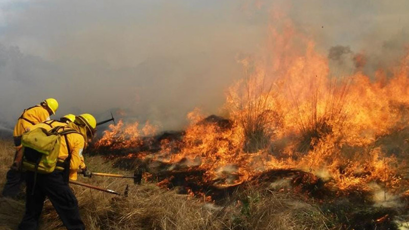  Brigadista pierde la vida al combatir incendio forestal en Tuxpan, Michoacán  