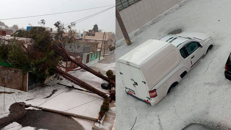  Granizada en Puebla  provoca caída de árboles y postes  
