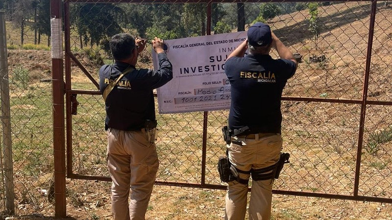 Aseguran predio talado ilegalmente para siembra de aguacate en Salvador Escalante, Michoacán  