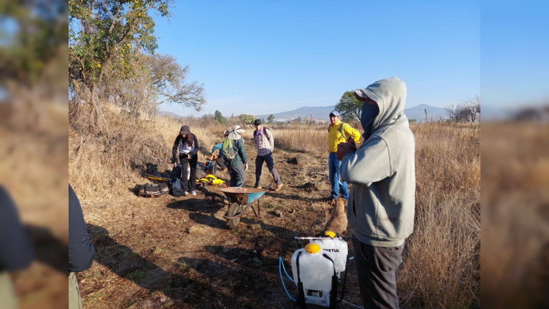 Secma lanza convocatoria para el Premio al Mérito Ambiental Michoacán 2024