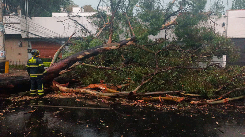 Tras lluvias y fuertes vientos, activan Alerta Amarilla en alcaldías de CDMX 