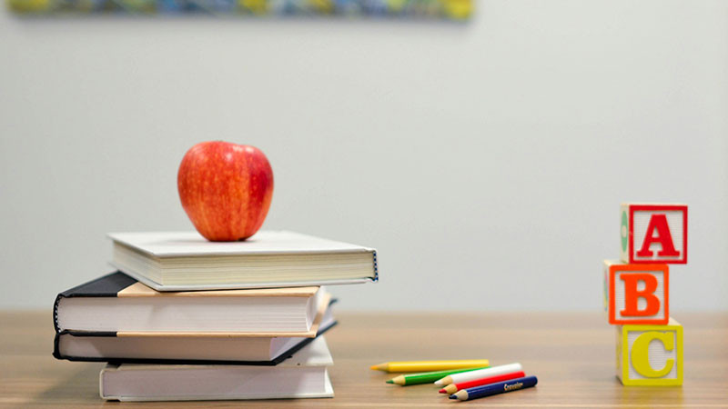 La evaluación diagnóstica y formativa al servicio de la mejora continua de la educación: MEJOREDU 
