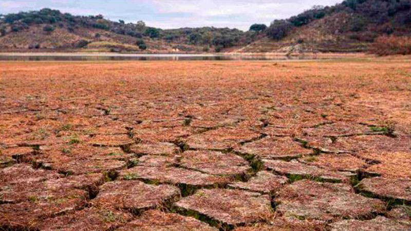Expertos urgen acciones ante el cambio climático 