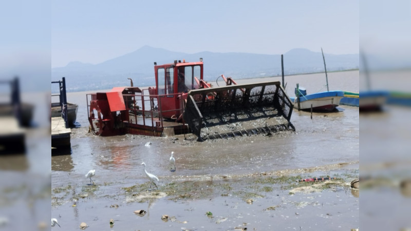 Así avanzan los trabajos para rescatar el Lago de Pátzcuaro