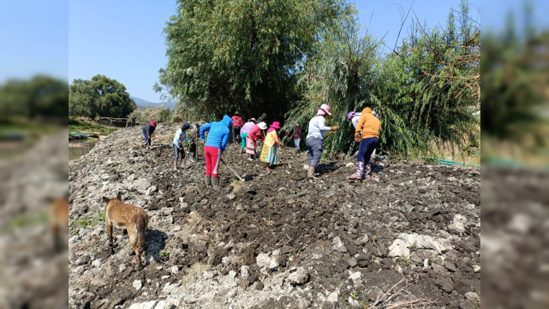 Así avanzan los trabajos para rescatar el Lago de Pátzcuaro