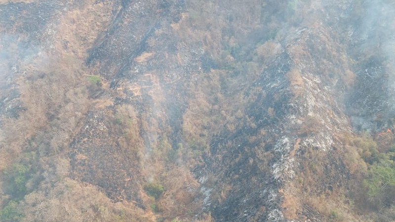 Se suma helicóptero para sofocar incendio forestal en Lázaro Cárdenas