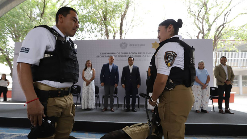 Policía Municipal jubila a ocho perros policía en Querétaro 