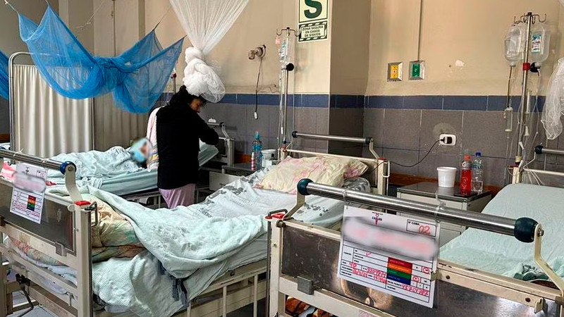 Hay una epidemia de dengue "sin precedentes" en América, advierten expertos 