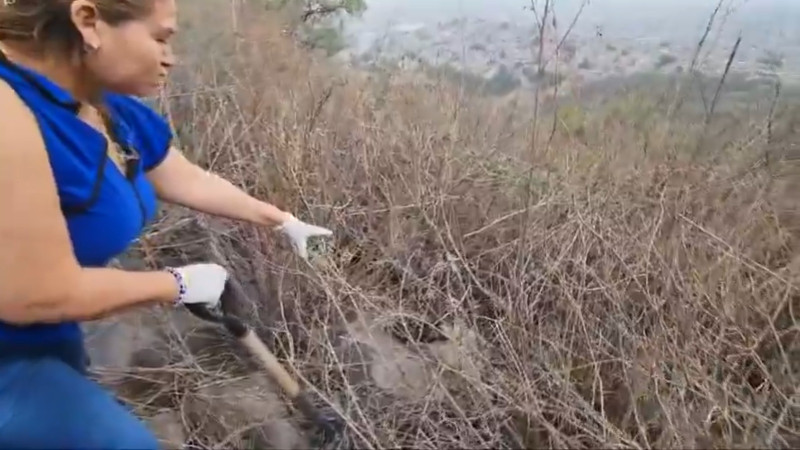 Ceci Flores reporta hallazgo de restos humanos en alcaldía Iztapalapa