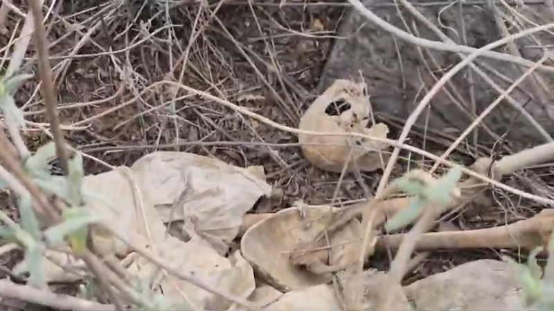 Ceci Flores reporta hallazgo de restos humanos en alcaldía Iztapalapa