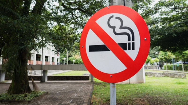 La OMS distingue a Vital Strategies con el Premio del Día Mundial Sin Tabaco 2024 