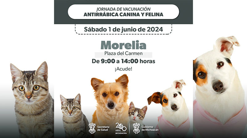 Protege a tus mascotas de la rabia: sector salud vacunará este sábado en Morelia 