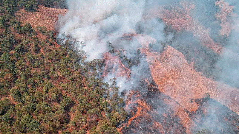 Precipitaciones recientes han beneficiado principalmente combate de incendios forestales: CEPCM 