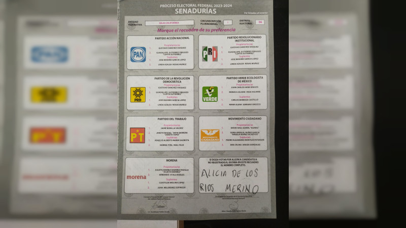 Mexicanos votan por personas desaparecidas durante elecciones 2024