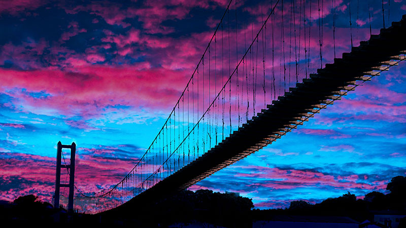 Veracruz ya es tierra morenista, según datos del escrutinio electoral  