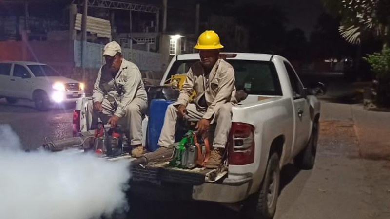 Fumigará SSM más de 16 mil casas en Tierra Caliente para combatir el dengue