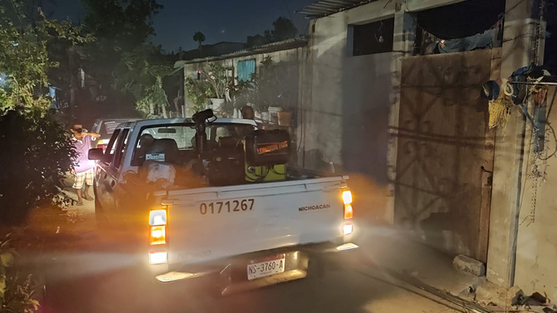 Fumigará SSM más de 16 mil casas en Tierra Caliente para combatir el dengue