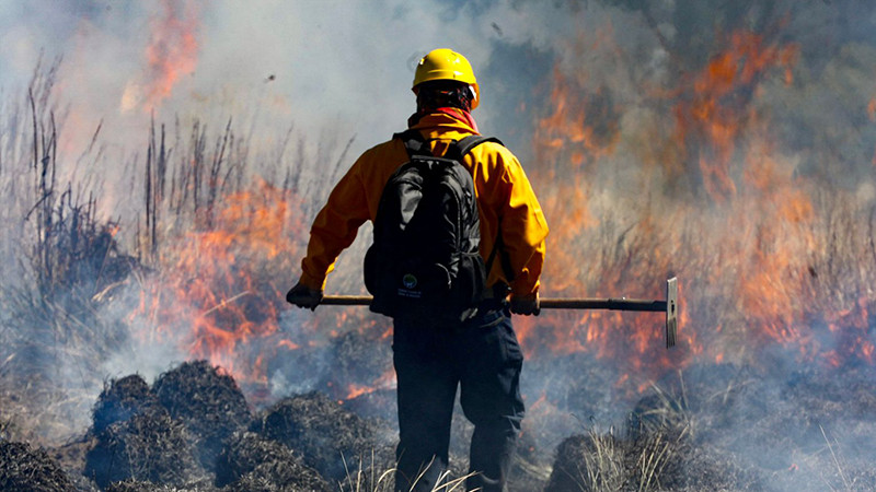 La incansable lucha contra el fuego de los brigadistas forestales en Michoacán