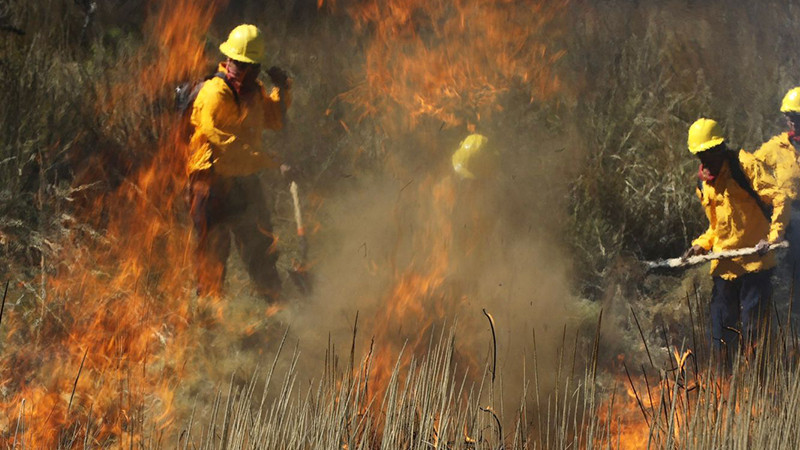 La incansable lucha contra el fuego de los brigadistas forestales en Michoacán