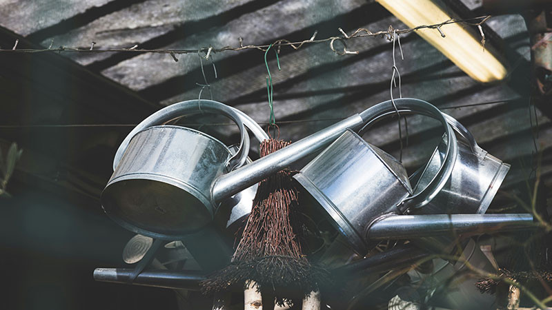 Para prevenir el dengue, sector salud recolectará cacharros en Arteaga  