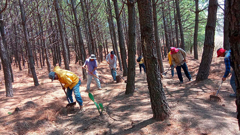 Brigadas forestales atienden 3 incendios en Zinapécuaro, Ario y Morelia 