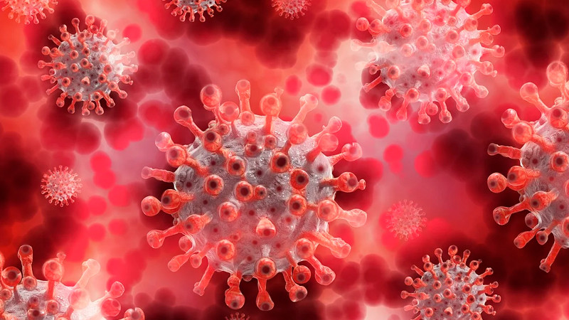 México registra 7 casos de sarampión: Secretaría de Salud federal 