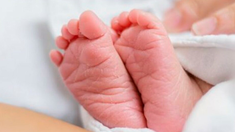 Indaga Cofece posibles prácticas monopólicas en pruebas de tamiz 