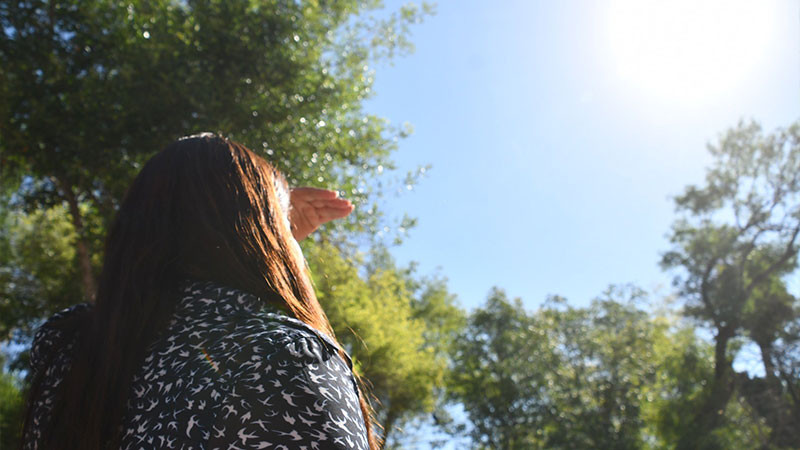 Van 90 muertes por altas temperaturas en México en 2024 