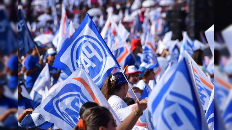 PAN solo obtuvo 15 alcaldías en Michoacán  