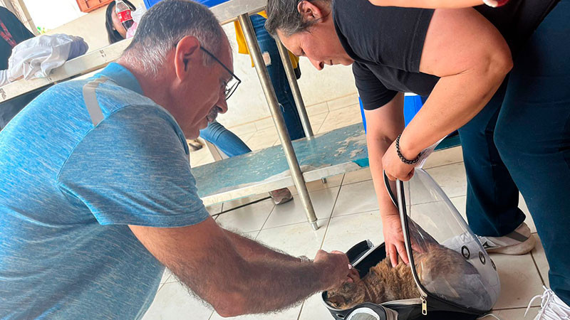 Mantiene sector salud vacunación antirrábica para perros y gatos en Uruapan  