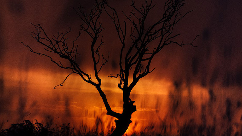 Estudiantes de la UIIM serán capacitadores en el combate a incendios forestales 