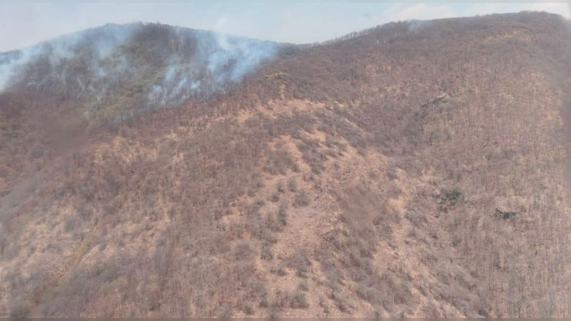 Atienden por aire y tierra incendio forestal en Cerro Verde, en Morelia 