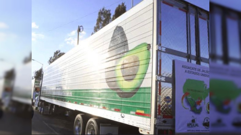 Roban en la periferia de Morelia, tráiler con más de 23 mil kilos de aguacate 
