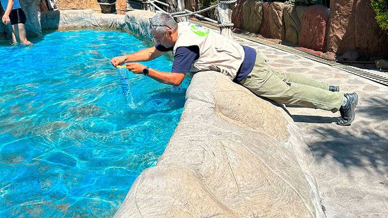 Sector salud de Michoacán revisa albercas y balnearios previo a vacaciones de verano 