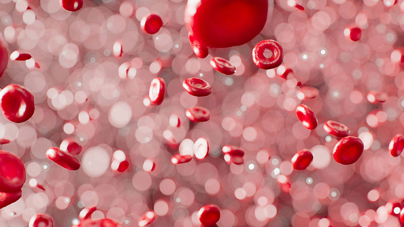 Sector salud reconoce a michoacanos que salvan vidas con donaciones de sangre 