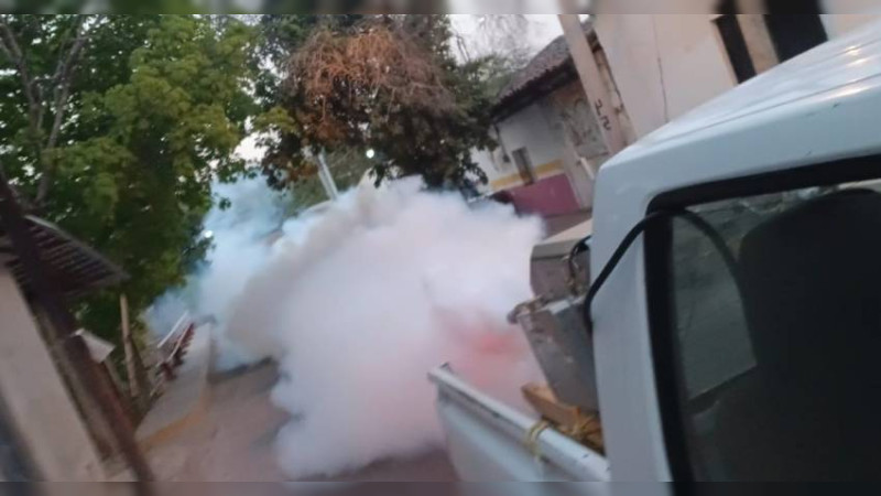 Sector salud reporta que en 2024 hubo medio millón de acciones para combatir el dengue 