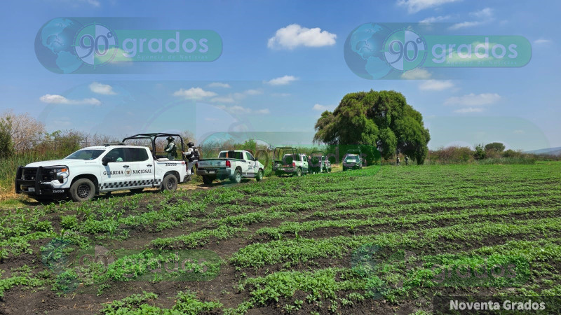Hallan cadáver putrefacto en Zamora, Michoacán 