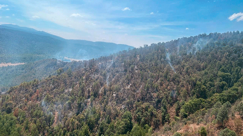 Con ayuda de helicóptero con helibalde apagan incendio forestal en Queréndaro 