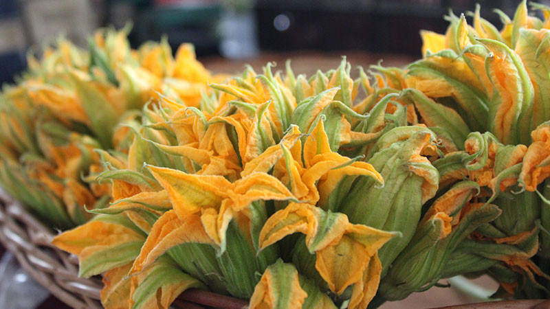 Finabien celebra Día Nacional de las Micro, Pequeñas y Medianas Empresas 