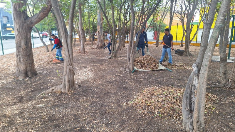 Realizan jornada de limpieza integral en la colonia Cosmos de Morelia  