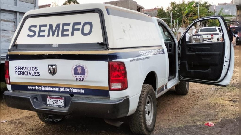 Hallan feto humano en LC, Michoacán 